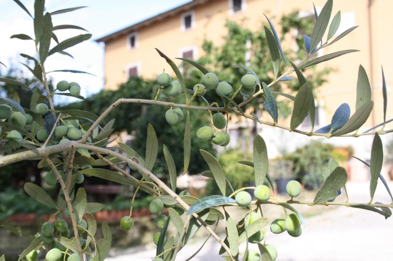 B&B Al Frantoio Chiusi Exterior photo